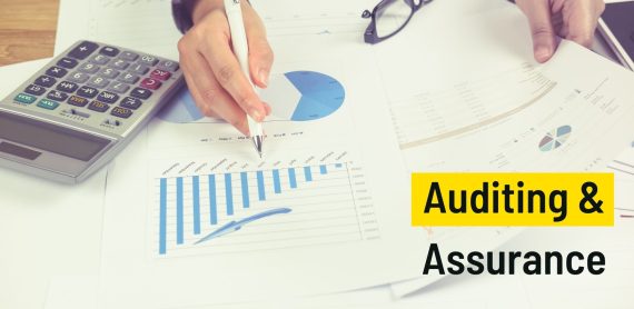 Income Tax Sales Tax Consultant