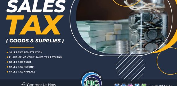 Income Tax Sales Tax Consultant